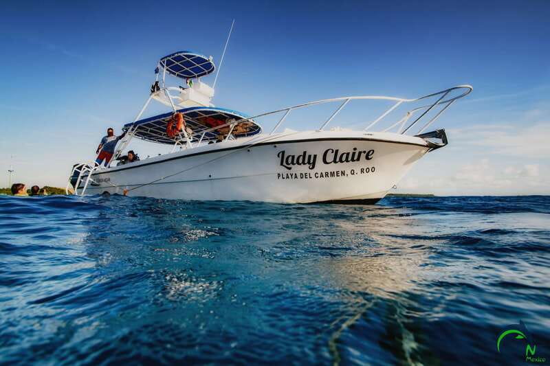 Scuba Dive in Playa del Carmen - 2 Dives (Certified divers) - The 30-minute surface break