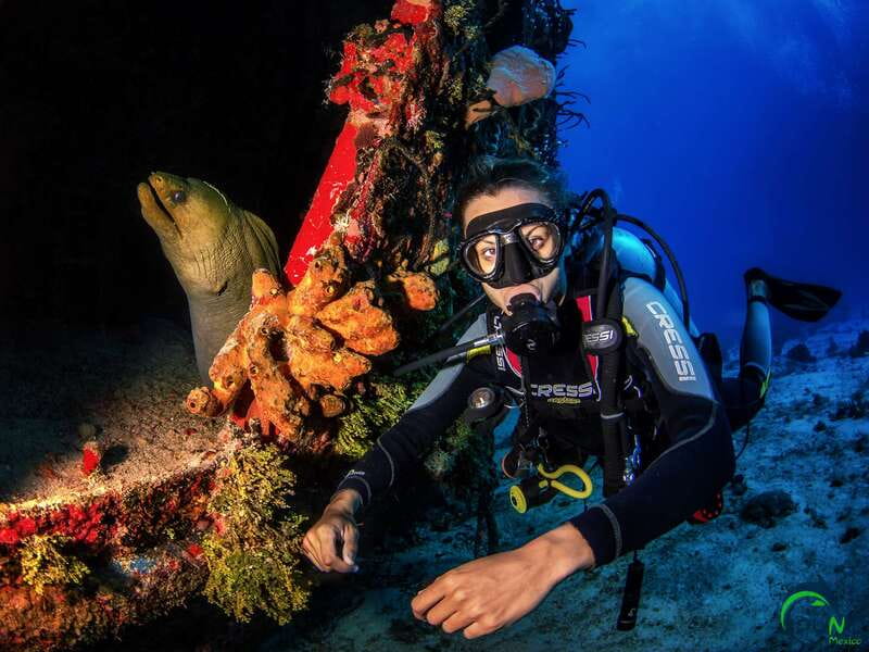 Scuba Dive in Playa del Carmen - 2 Dives (Certified divers) - What the $110 price really covers