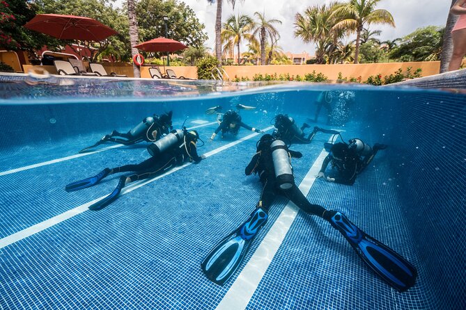 Scuba Diving for Beginners – Tulum Dive Machine - The break between tanks