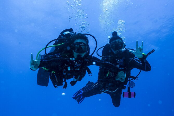 Scuba Diving for Beginners – Tulum Dive Machine - The instructors matter more than the scenery