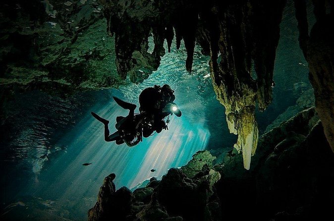 Scuba Diving in Cenote Dos Ojos from Playa del Carmen - Price, entrance fees, and what is really included
