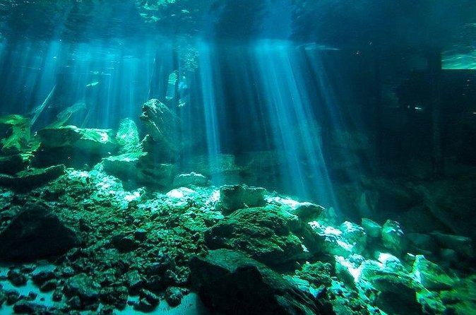 Scuba Diving in Cenote Dos Ojos from Playa del Carmen - Who should book this excursion