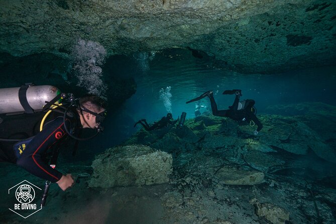 Scuba Diving in Cenotes - What each kind of cenote visit can offer