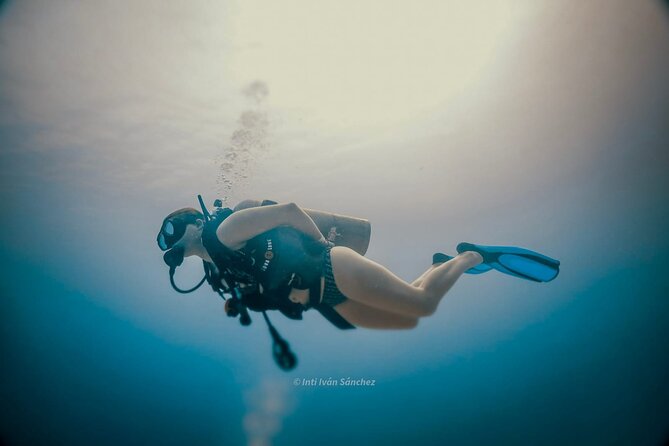 Scuba Referral Dives & Beach Club with Transportation In Riviera Maya - Four boat sessions, not one quick look underwater