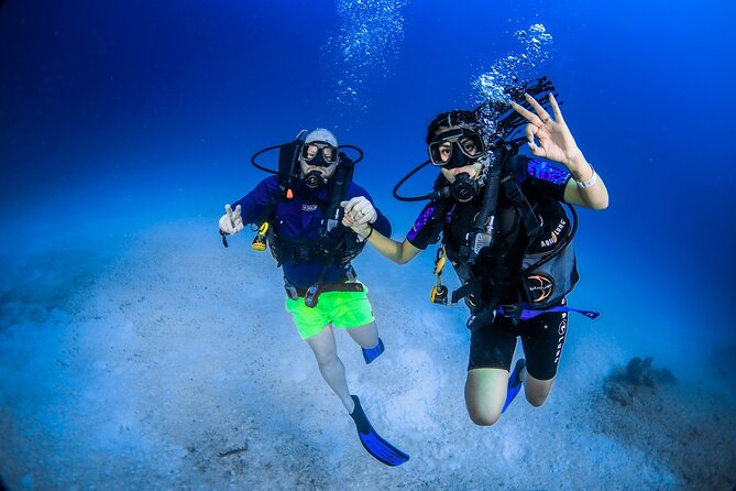 Scuba Referral Dives & Beach Club with Transportation In Riviera Maya - The sea life and reef setting