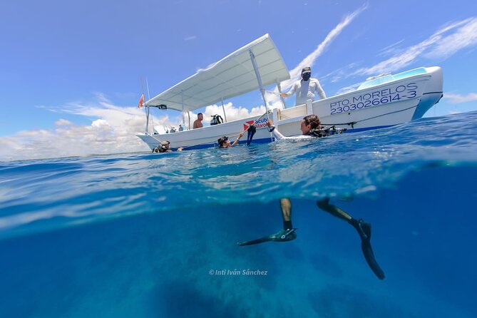 Scuba Referral Dives & Beach Club with Transportation In Riviera Maya - Is $300 a fair price?