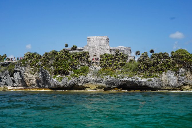 Sea turtle and cenotes half day Snorkeling Tour from Riviera Maya - Mosquitoes, changing areas, and the rough edges
