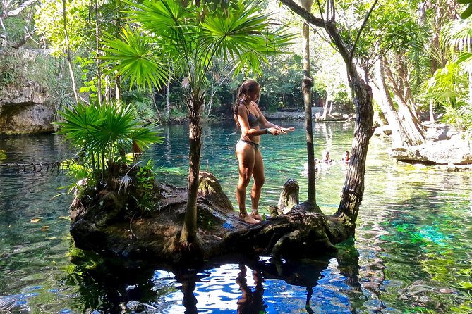 Sea turtle and cenotes half day Snorkeling Tour from Riviera Maya - Is $99 a fair price?