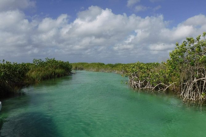 Sian Ka'an Adventure (Private, Full Day) - Lunch, snacks, and the value of a private day
