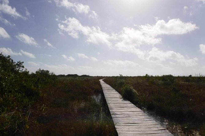 Sian Ka'an Adventure (Private, Full Day) - Weather, closures, and the private-tour advantage