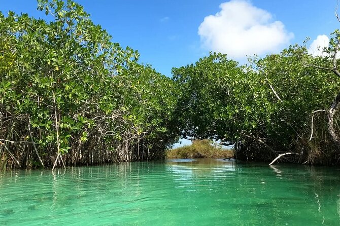 Sian Ka'an Biosphere Reserve Guided Tour - One hour among the ruins at Muyil