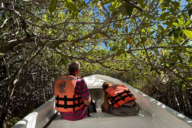 Sian Ka'an Biosphere Reserve Guided Tour - What the lazy river float feels like