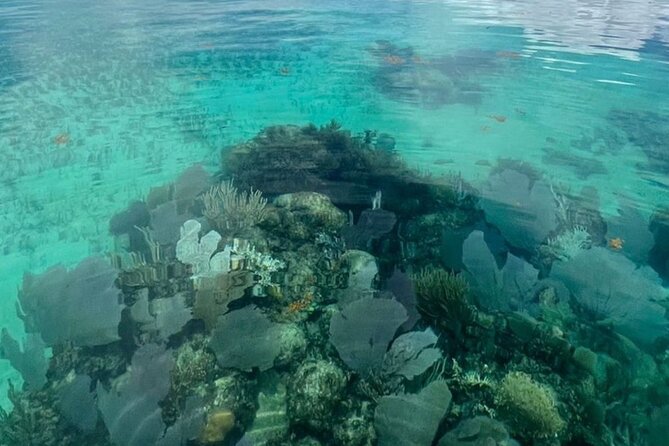 Sian Ka'an Boat Experience from Riviera Maya to Tulum - The guide and the tone of the day