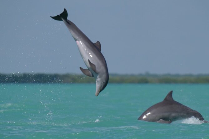 Sian Ka'an Classic - Why Sian Kaan makes a memorable day trip
