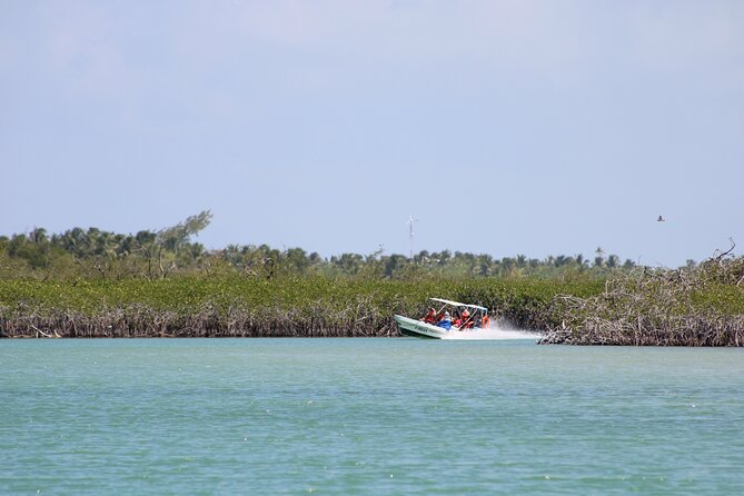 Sian Ka'an Classic - Punta Allen, natural pools, and lunch