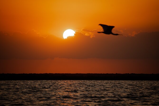 Sian Ka’an Sunset Private boat. - Pickup From Playa del Carmen and Cancun