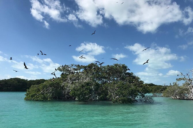 Sian Ka'an Trip from Playa del Carmen & Tulum - A three-hour boat search through Sian Kaan