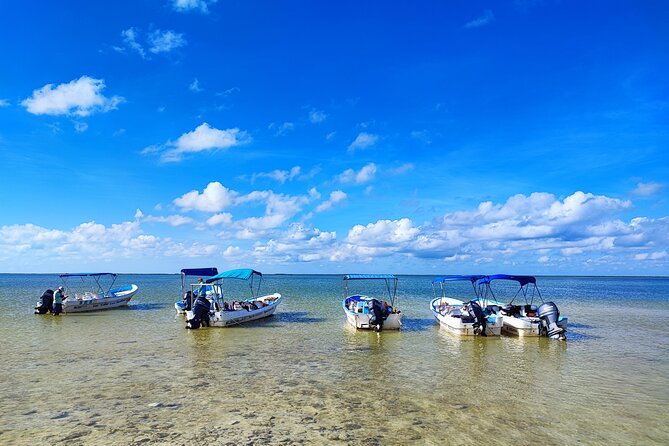 Sian Ka'an Trip from Playa del Carmen & Tulum - Punta Allen adds lunch and a small-town pause