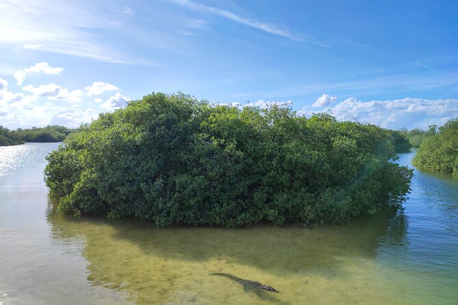 Sian Ka'an Trip from Playa del Carmen & Tulum - Guide quality can shape the entire day