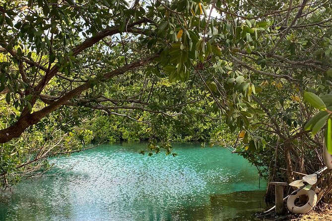 Small-Group 3 Cenotes Adventure Tour - Guides who add meaning to the scenery