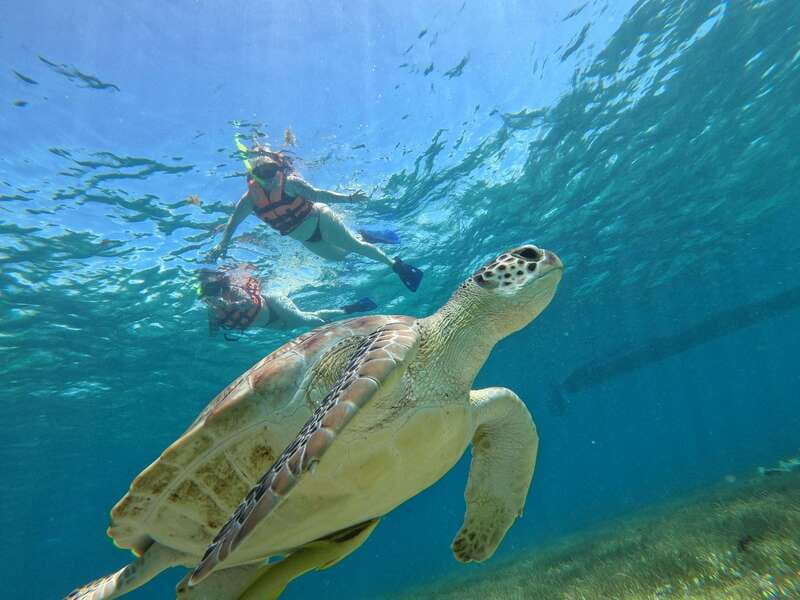 SNORKEL IN TULUM REEF, BOAT RIDE AND CALETA - The clear-water caleta stop