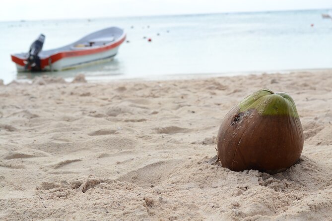 Snorkel Tour! Turtles & Underground Cenote from Playa del Carmen - Guides who shape the day