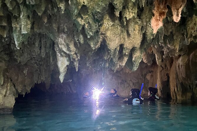 Snorkeling Activity in a Cenote Expedition - Casa Cenote: Open Water and a Surprising Crocodile