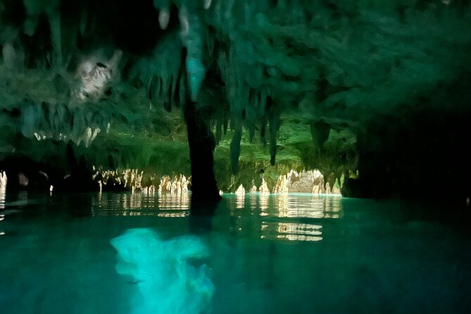 Snorkeling Activity in a Cenote Expedition - What to Expect in the Water