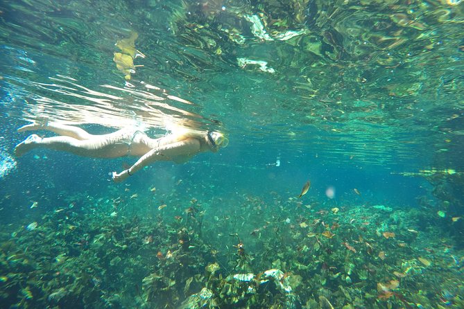 Snorkeling Adventure Tour Reef & Cenote - The guide matters more than the itinerary