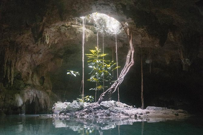 Snorkeling Adventure Tour Reef & Cenote - Who should book this experience