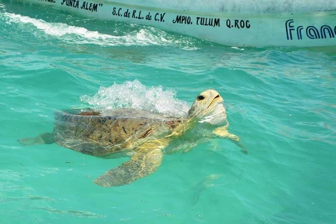 Snorkeling in Sian Ka'an - Why Sian Ka’an takes all day
