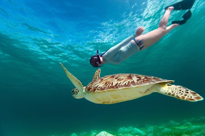 Snorkeling with Turtles and Cenotes - Cenote Caracon, clear water and cave shadows