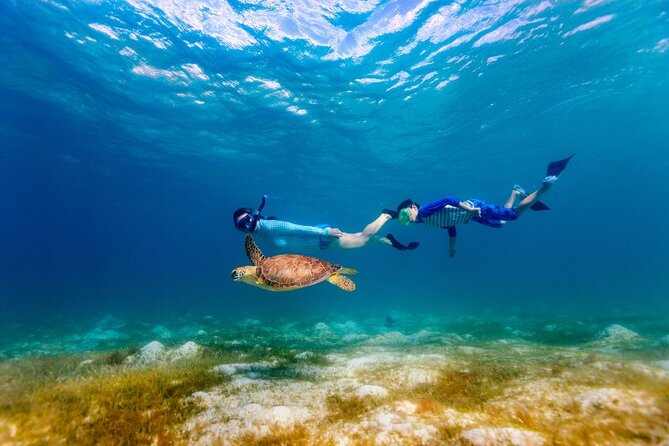 Snorkeling with Turtles and Cenotes - Who will get the most from this tour
