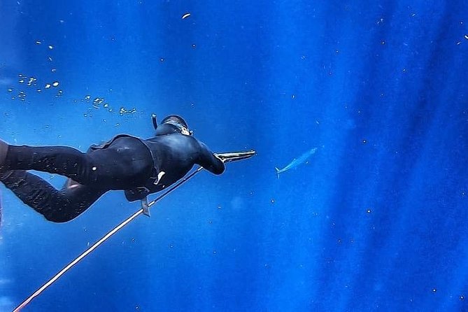 Spearfishing Playa del Carmen or Tulum - Equipment and comfort can make or break the morning