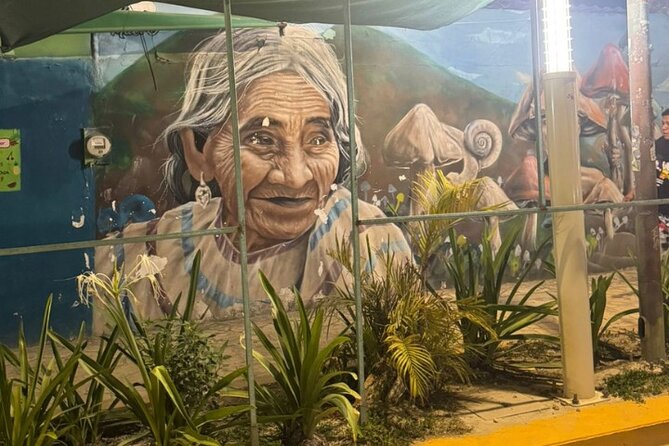 Street Art & Cemetery Cultural Tour - half day - Quinta Avenida: one hour in Playa’s social center