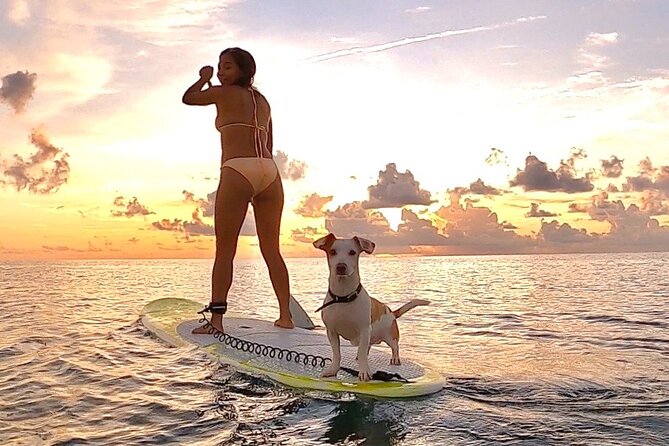 Sunrise Paddle Surf - The beach briefing makes this workable for first-timers