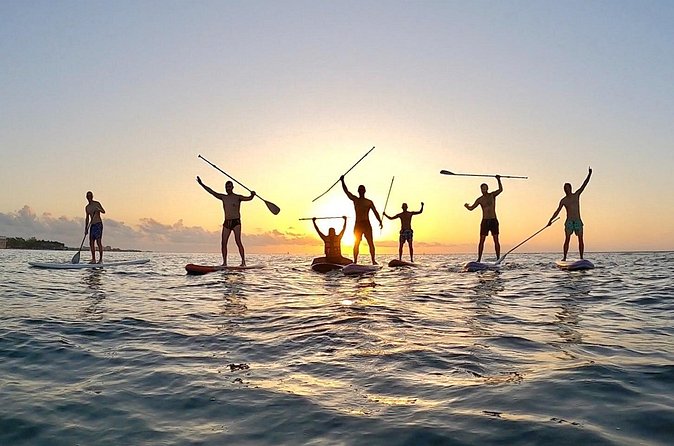 Sunrise Paddle Surf - What the mixed feedback means for your plans