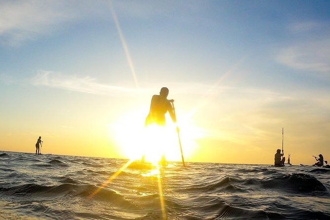 Sunrise Session - The #1 Paddleboard Tour On The Caribbean Sea - Learning to Stand on the Board