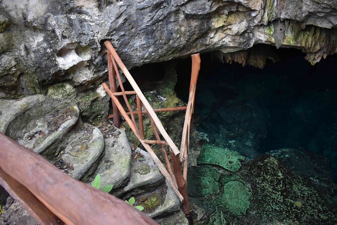Swim in 4 different Cenotes in Casa Tortuga Park - Who Will Enjoy This Cenote Tour Most?