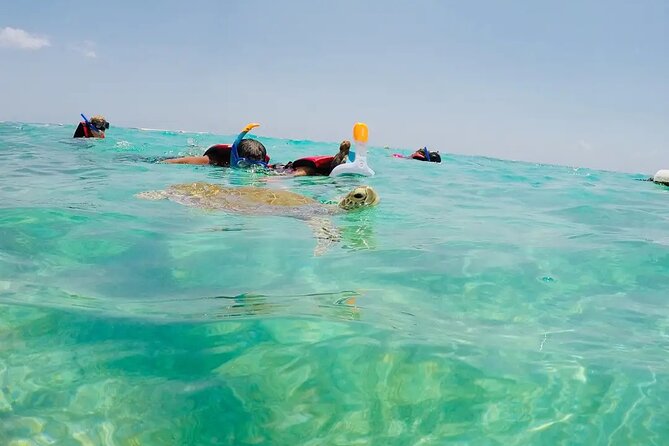 Swim with akumal turtles - What the facilities are really like