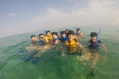 Swim with sea turtles