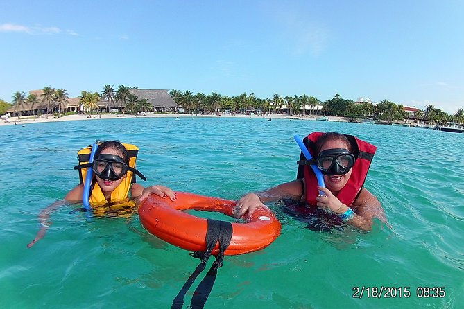 Swim with sea turtles - What is included for $45