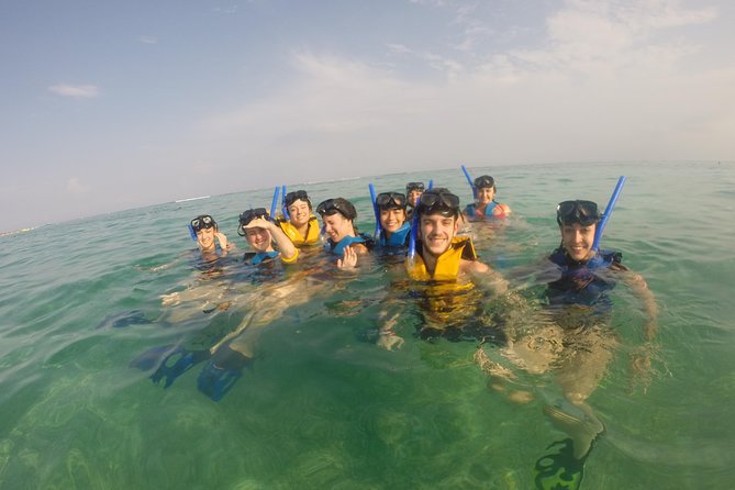 Swim with sea turtles - What the 1-hour-15-minute outing feels like