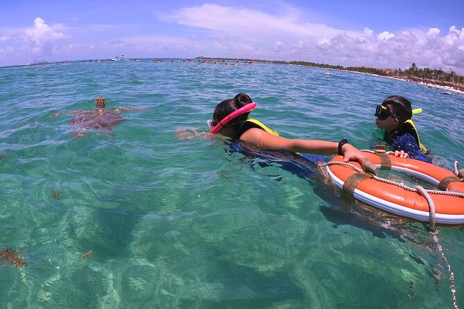 Swim with Turtles in Akumal + GoPro Photo Session - Akumal Bay puts turtles before reef scenery