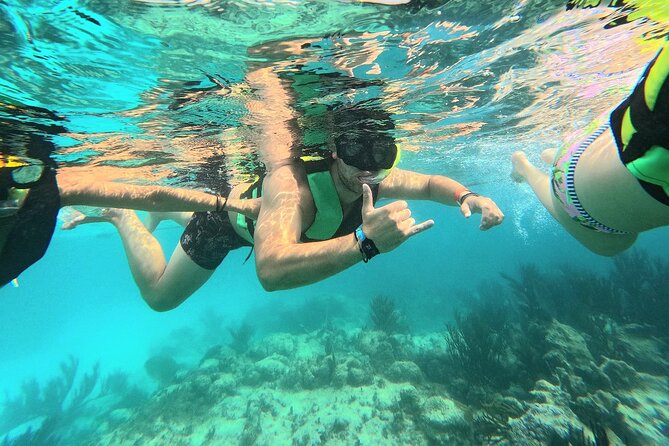 Swim with Turtles in Akumal + GoPro Photo Session - What happens from the meeting point to the water
