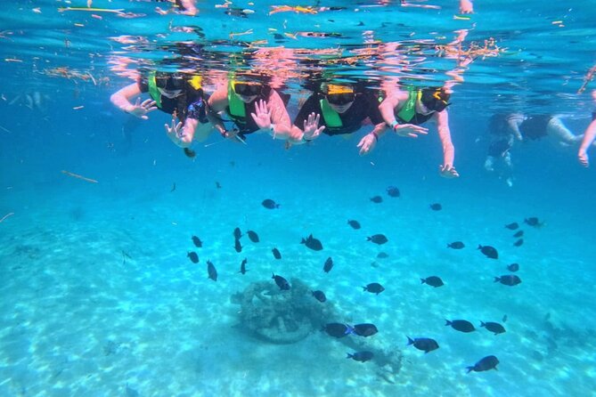 Swim with Turtles in Akumal + GoPro Photo Session - Who will enjoy this Akumal snorkel most
