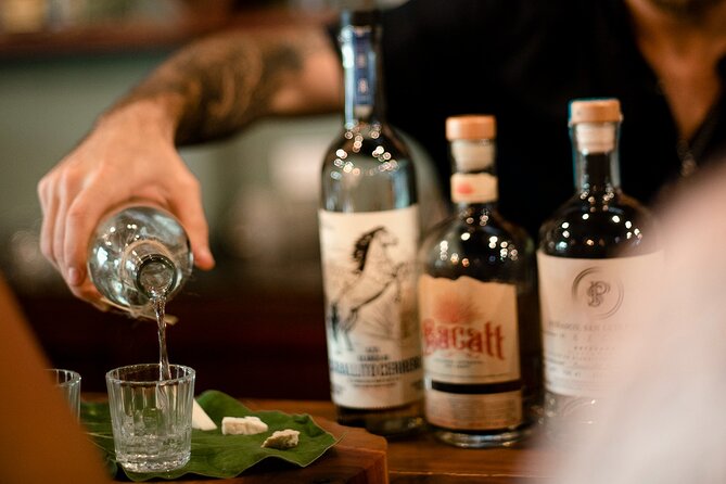 Tequila and Mezcal Tasting in Tulum with Cheese Pairing - From agave field to bottle