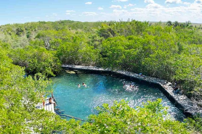 The best of Holbox from Tulum - Lunch onboard and what the included benefits mean