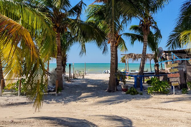 The best of Holbox from Tulum - Who should book this Holbox day trip