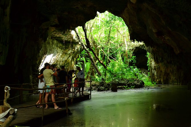 Tortugas & Cenotes Snorkel With Turtles Tour - Lunch, snacks, and what to carry